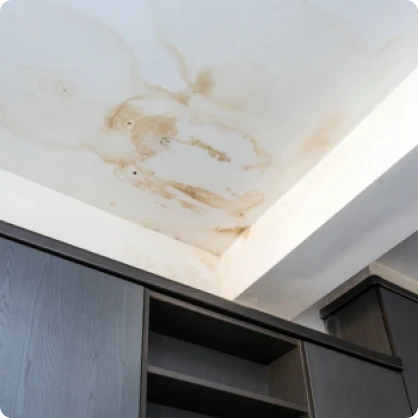 Ciudad Top Tejados Segovia